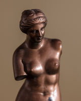 Bronze Tone Metal Venus de Milo Statue