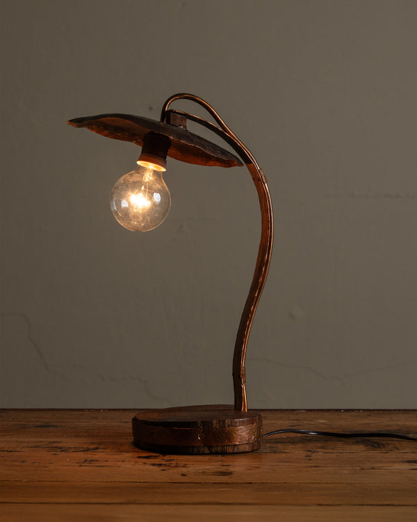 Handmade Copper & Wood Table Lamp, France, 1970's