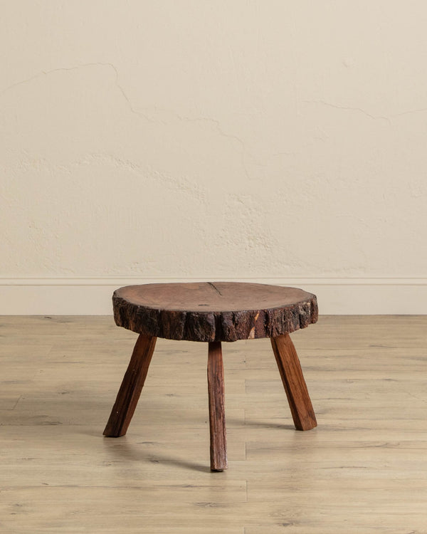 Tree Stump Cross Section Stool - Lone Fox