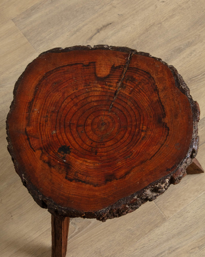 Tree Stump Cross Section Stool - Lone Fox