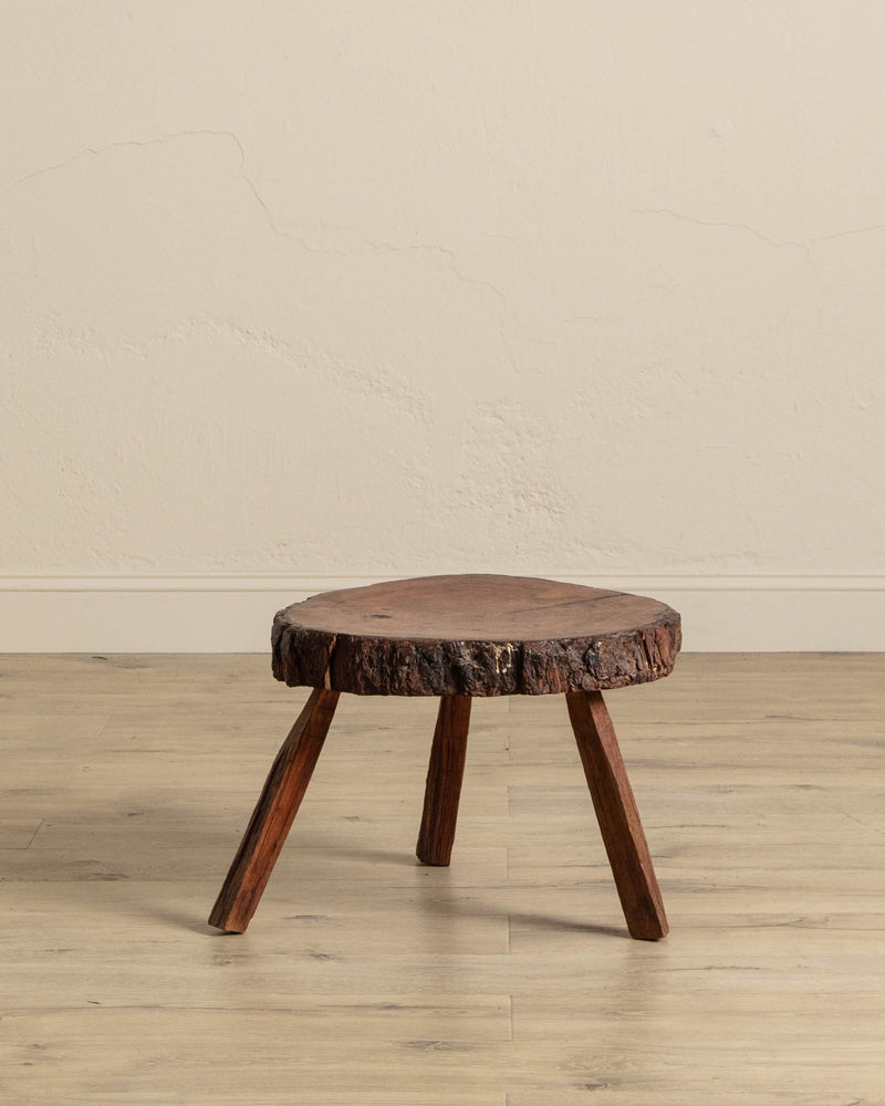 Tree Stump Cross Section Stool - Lone Fox
