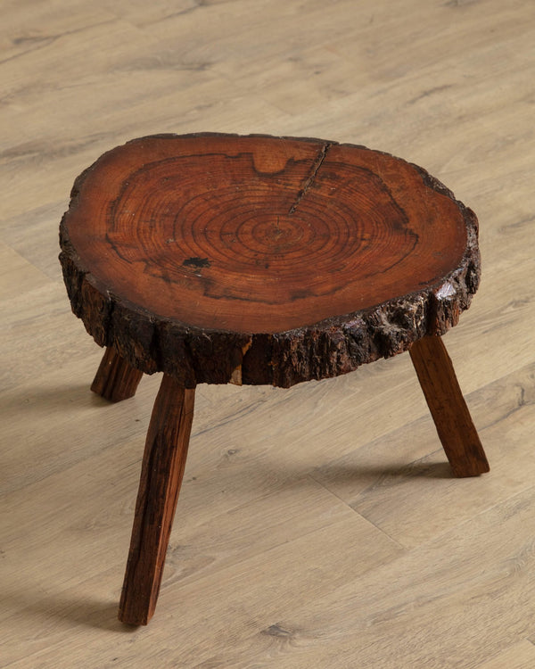 Tree Stump Cross Section Stool - Lone Fox