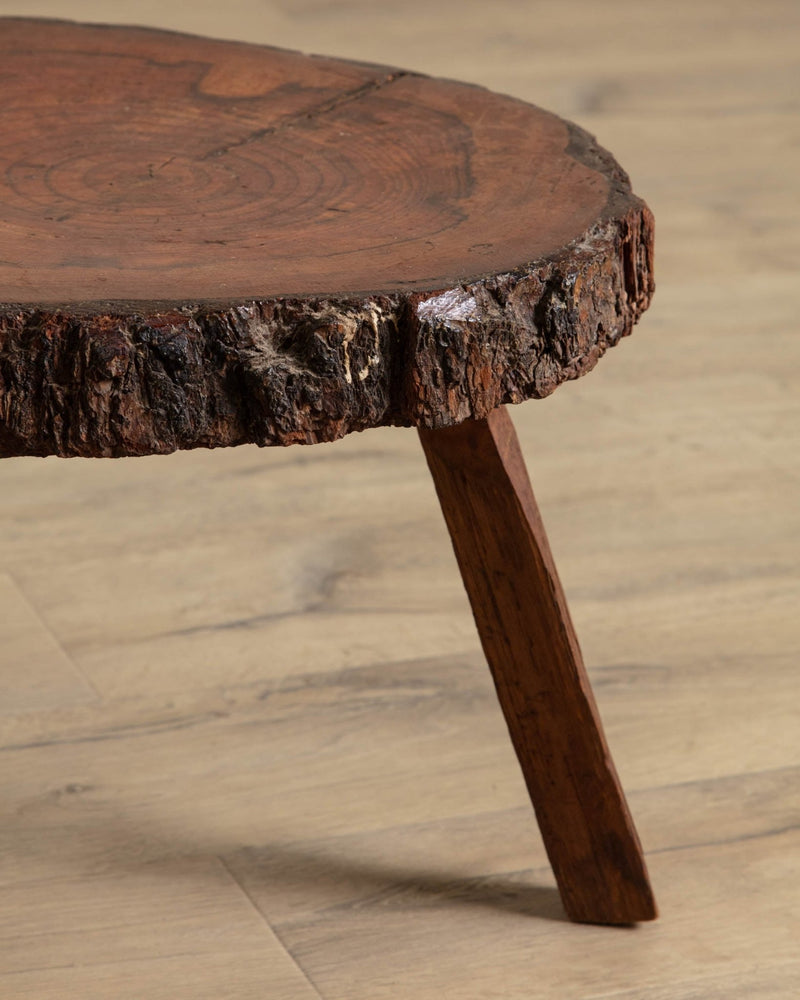 Tree Stump Cross Section Stool - Lone Fox