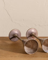 Twisted Brass Champagne Glasses (Set of 2) - Lone Fox