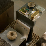 Valley Side Table - Stainless Steel - Lone Fox