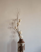 Velvet Pumpkin & Curly Willow Stem - Lone Fox
