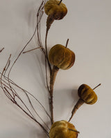 Velvet Pumpkin & Curly Willow Stem - Lone Fox