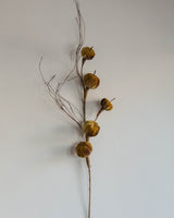 Velvet Pumpkin & Curly Willow Stem - Lone Fox