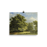 "View in the Bentheim Forest" Art Print - Lone Fox