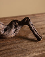 Vine Root Corkscrew Sculpture, American, 1970's - Lone Fox