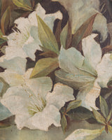 White Azalea Still Life in Gold Frame, France, 1890s - Lone Fox