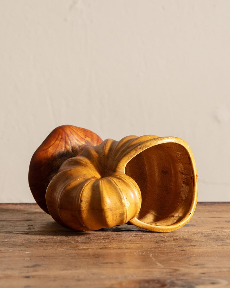Yellow Nautilus Shell Footed Ceramic Planter - Lone Fox