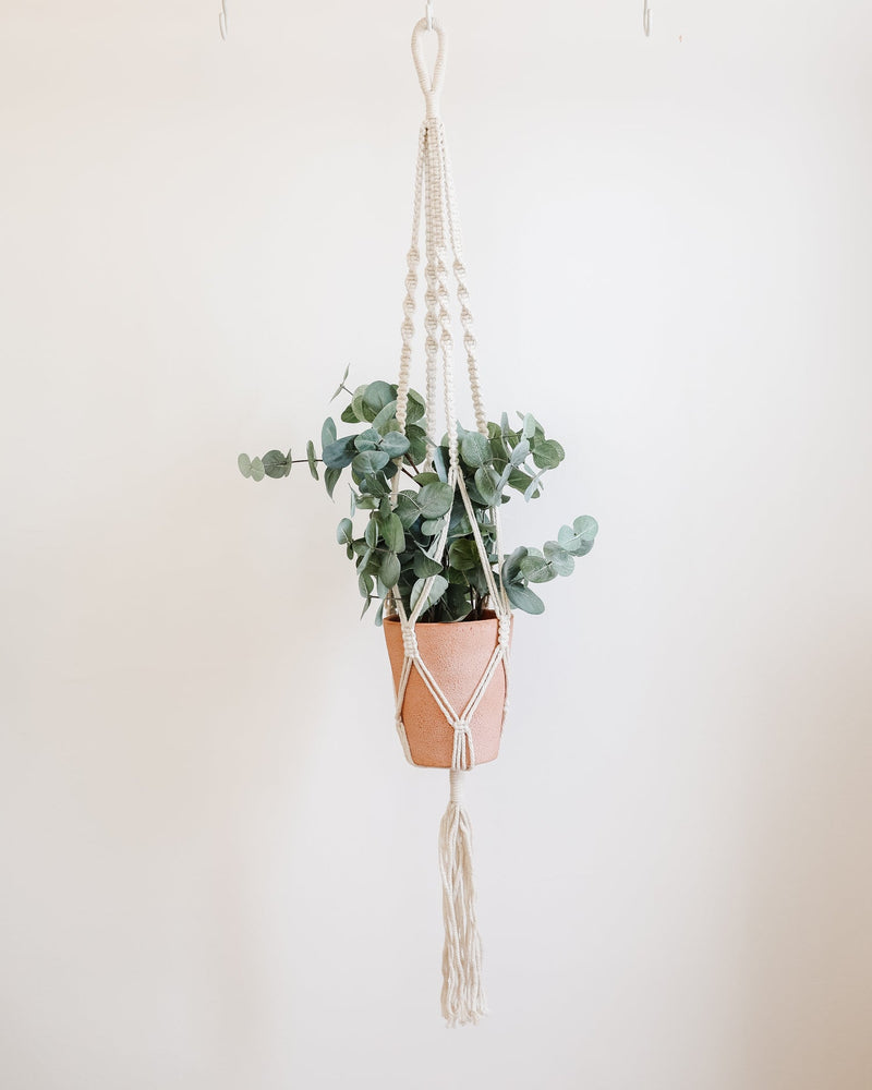 Your Favorite Macrame Plant Hangers - Lone Fox