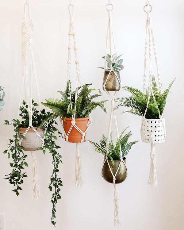 Your Favorite Macrame Plant Hangers - Lone Fox