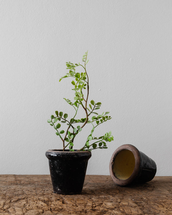 Quade Glossy Terracotta Planter