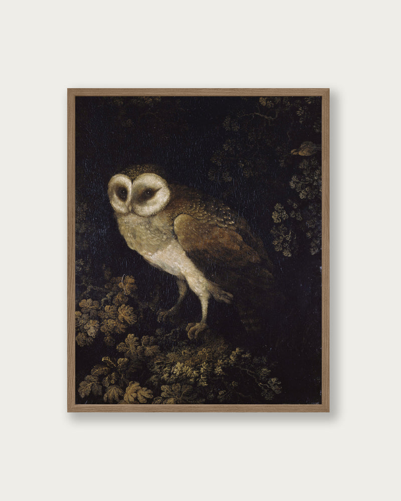 "An Owl" Art Print