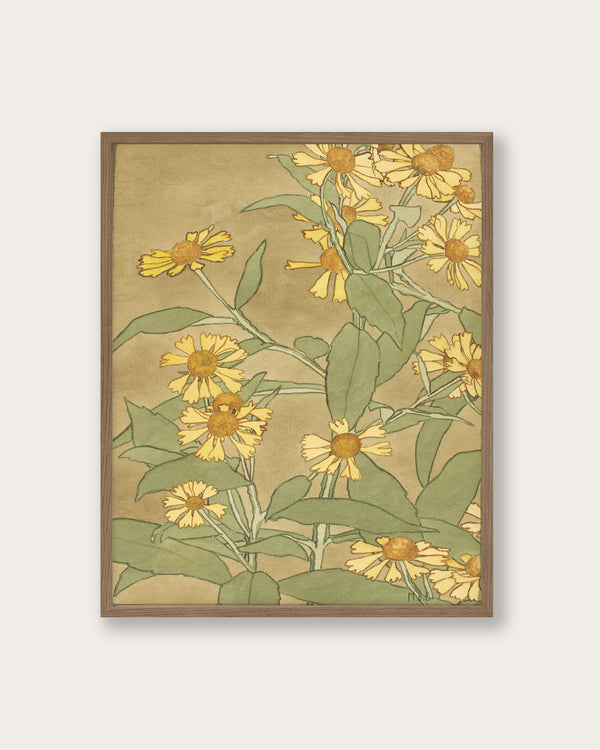 "Daisies with Orange Center and Yellow Petals" Art Print