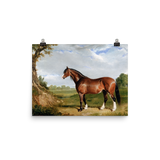 "A Clydesdale Stallion" Art Print