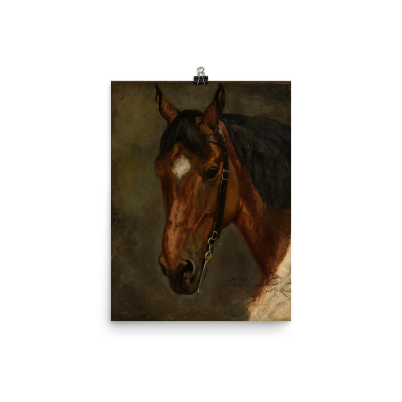 "Horse’s head" Art Print