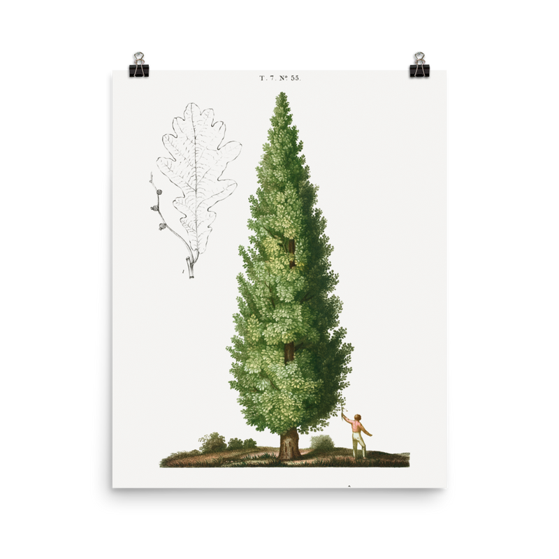 "Boy and Tree" Art Print