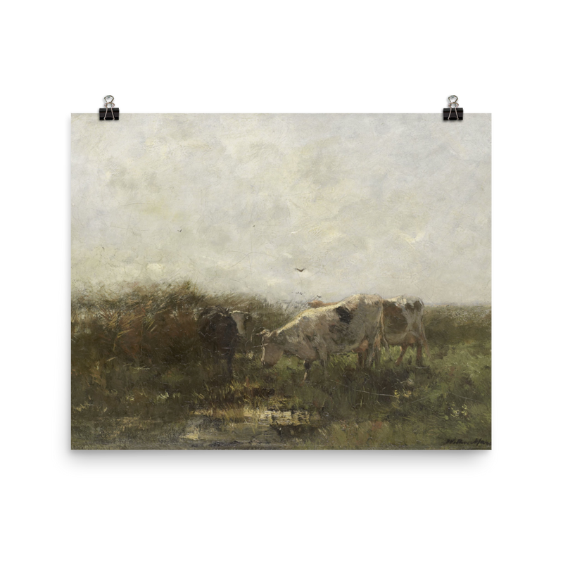 "Cows Grazing" Art Print