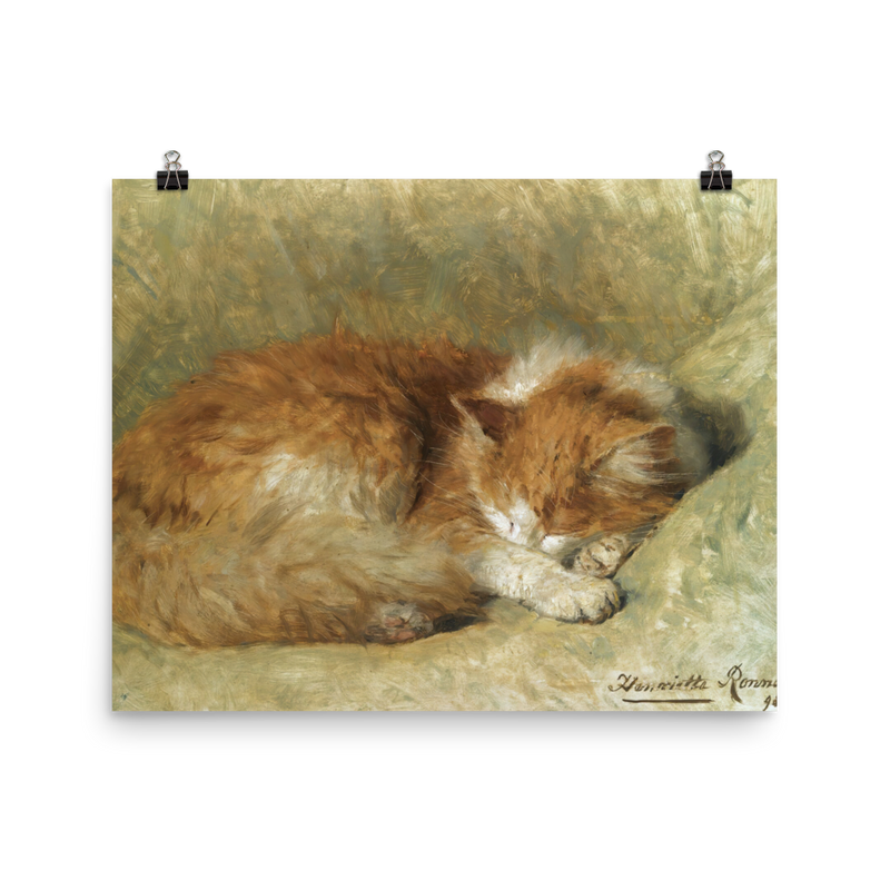 "A Sleeping Cat" Art Print