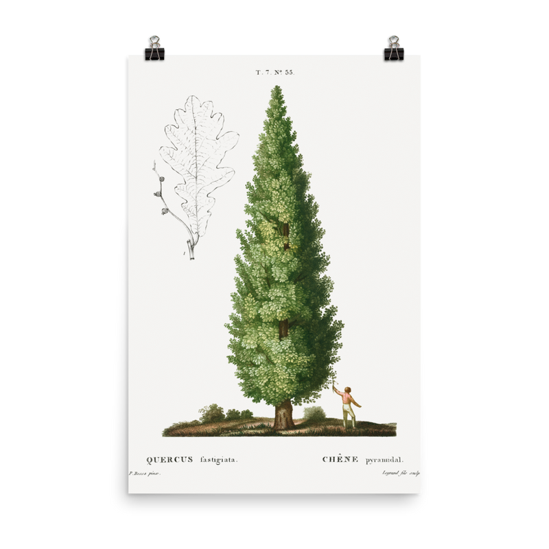 "Boy and Tree" Art Print
