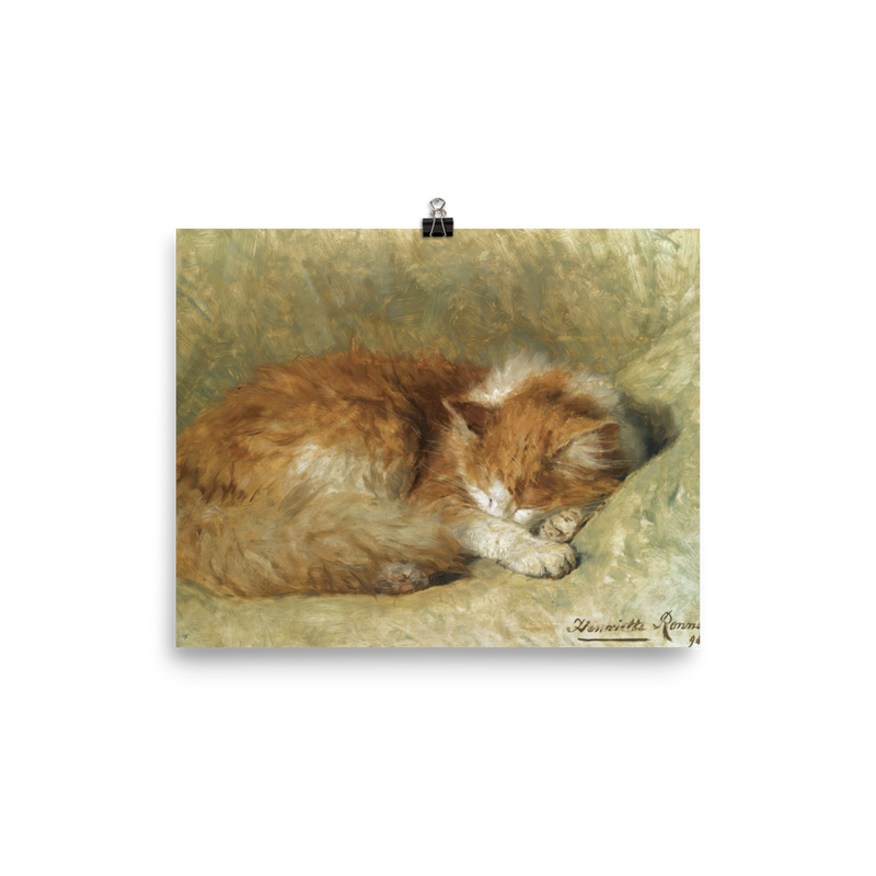"A Sleeping Cat" Art Print